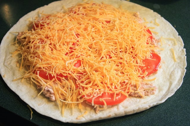 A flour tortilla topped with sliced tomatoes and cheese.
