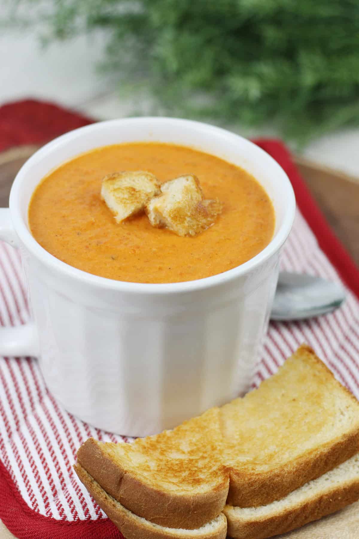 Roasted tomato soup in a white soup bowl with grilled cheese.