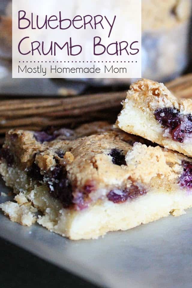 Blueberry crumb bars on a piece of wax paper.