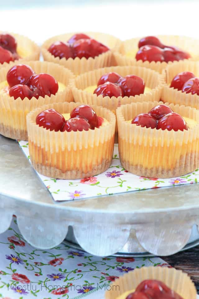 Several mini cheesecakes on a serving platter