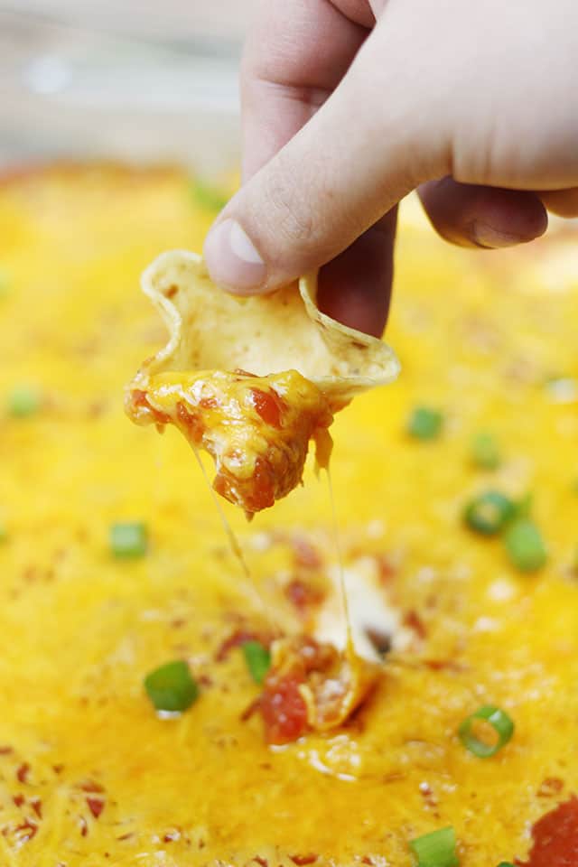 A tortilla chip taking a scoop of taco dip with cheese dripping down